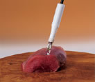 FC230B Teflon body meat pH spear tip electrode